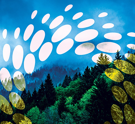 Un étudiant de Gonzaga dans un cours d'études environnementales aide à construire un nouveau sentier avec l'Association des sentiers de Washington sur les terres de conservation récemment acquises de Mica Peak.